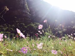 -北京上方山国家森林公园
