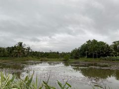 -沙美村