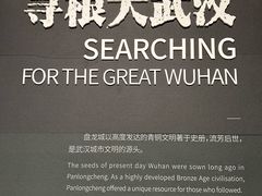 -盘龙城国家考古遗址公园