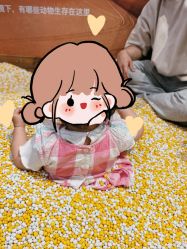 -卡通尼·Safari非洲探索乐园·生日会(金桥国际商业广场店)