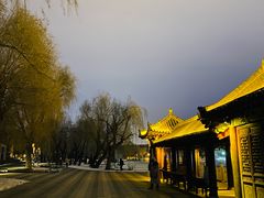 -长春市南湖公园