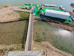 -春花秋色城市公园