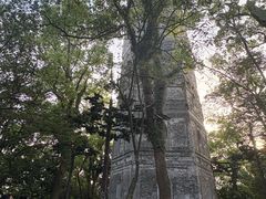 -江心屿景区