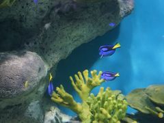 -福州罗源湾海洋世界旅游区