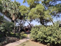 -广州莲花山旅游区