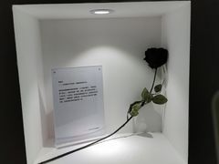 -深圳失恋博物馆再见前任(汇商名苑店)