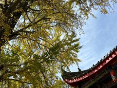 -金堂县云顶石城风景区