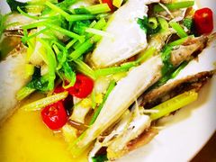 黄豆酱焖鱼-桂园白粥·潮汕老味道