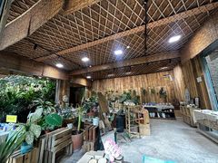 -西双版纳原始森林公园