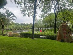 -映月湖公园