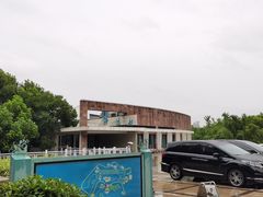 -上海市保健医疗中心