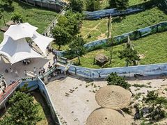 -西霞口神雕山野生动物世界