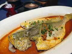 -维园悦谱·海派家常菜(乌鲁木齐南路店)