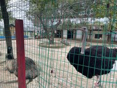 -武汉紫薇都市田园