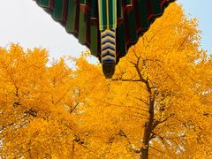 -承恩寺