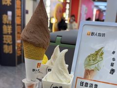 -野人先生现做冰淇淋(西安赛格店)