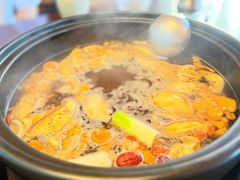 -滇野云南野生菌餐厅(陕西南路店)