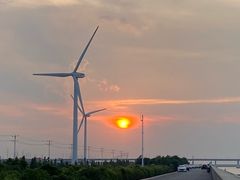 -上海长兴岛郊野公园