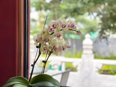 -东门烤鸭店(鼓楼店)