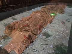 -白鹤梁水下博物馆