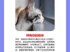 -纳吉亚猫专科动物诊疗中心(蒋宅口分院)