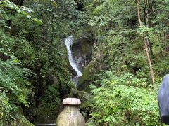 -牛背梁国家森林公园