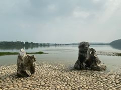 -东湖落雁景区