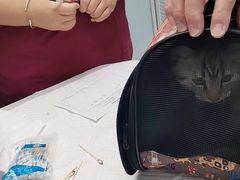-纳吉亚猫专科动物诊疗中心(蒋宅口分院)