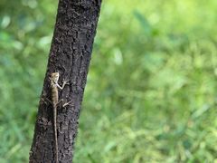 -南国桃园旅游度假区