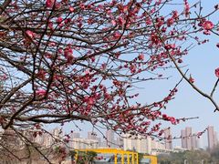 -白塘生态植物园