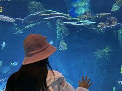 -暹罗海洋世界