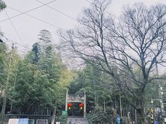 -紫金山山顶公园