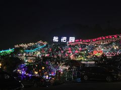 -枇杷园食为鲜火锅(南山店)