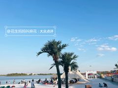 -武清南湖绿博园