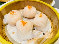 -采蝶轩