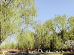 -元大都城垣遗址公园