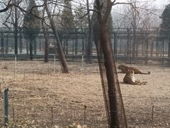 -秦皇岛野生动物园