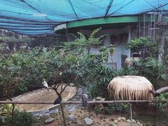 -九龙公园