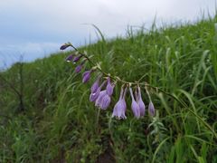 -萍乡武功山风景名胜区