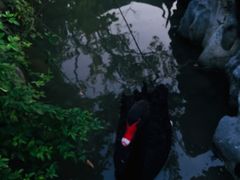 -国寿嘉园·苏州雅境
