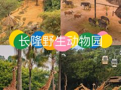 -广州长隆野生动物世界