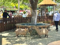 -大连森林动物园