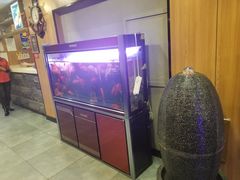 -好旺角齐市鲜切牛自助烤肉(农林五道街总店)