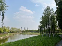 -皇粮浜湿地公园