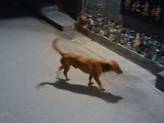 -炙热童年·老北京炙子烤肉(南锣鼓巷店)