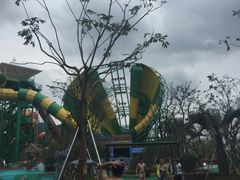 -苏州乐园森林水世界