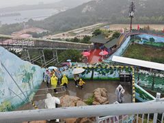 -西霞口神雕山野生动物世界