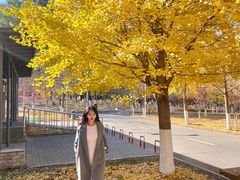 -长白岛森林公园