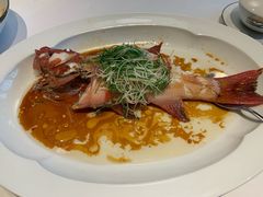 -伯衡55·吉品轩(乌鲁木齐南路店)