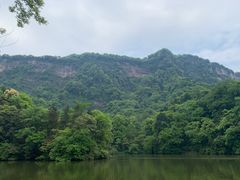 -青城山